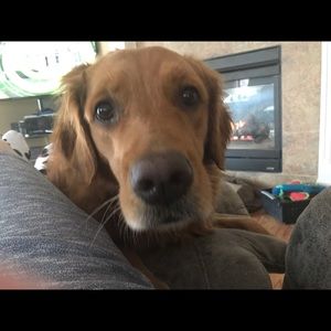 Meet your Posher, Jan